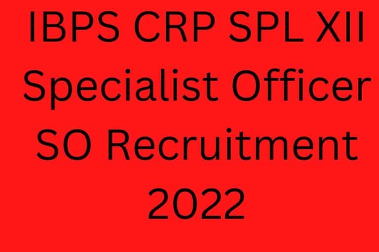 Ibps Crp Spl Xii Specialist Officer So Recruitment 2022